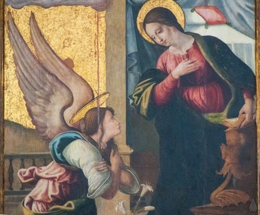 17362456_1482810571731381_3868013598169773586_n